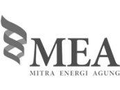 MEA