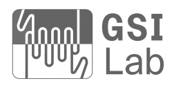 gsi lab